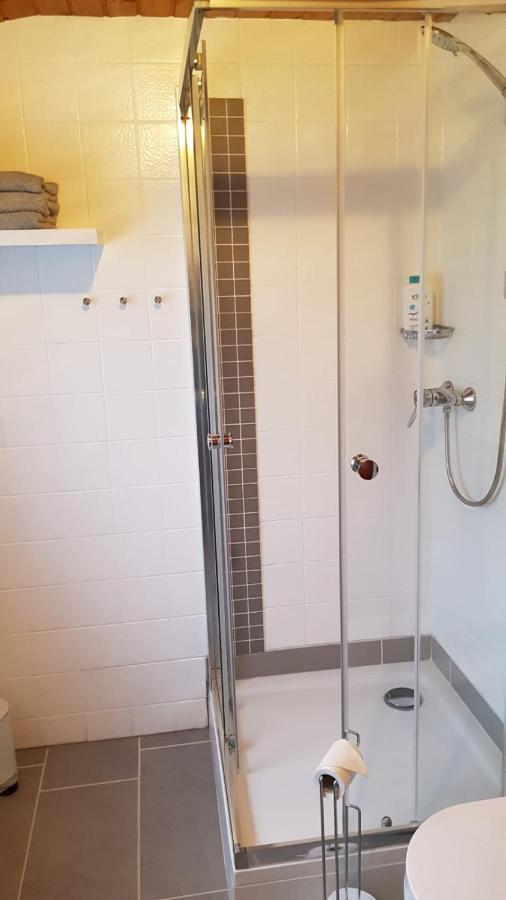 Apartment Silva Kappel-Grafenhausen Extérieur photo